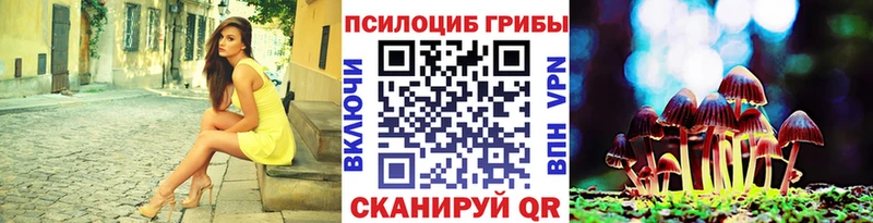 Галлюциногенные грибы Psilocybe Ивангород
